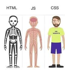 HTML